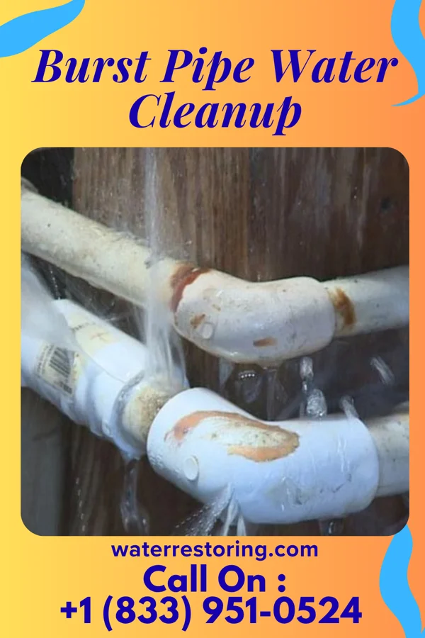 Burst Pipe Water Cleanup in Christopher, IL