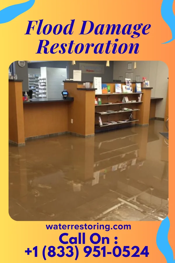 Flood Damage Restoration in Christopher, IL
