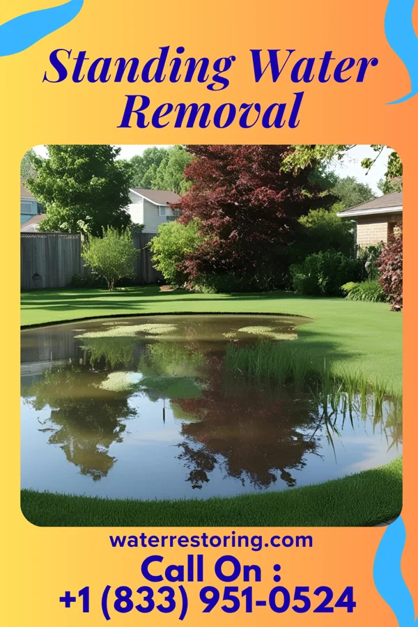 Standing Water Removal in Christopher, IL